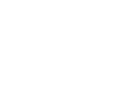 DalmatianBoatTrips logo